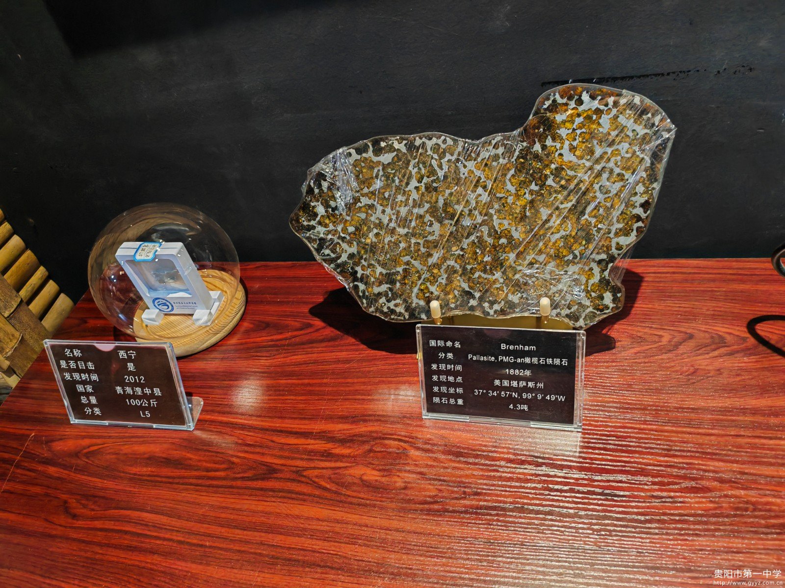 图七:铁陨石和橄榄陨石.jpg 图七:铁陨石和橄榄陨石.jpg